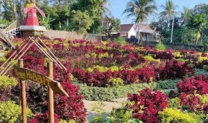 umbul-helau Umbel Helu