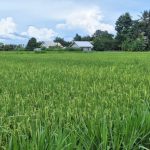 WhatsApp-Image-2025-04-23-at-5.12.28-PM-768x576